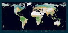 World Vegetation (Black Ocean) Fine Art Print Map