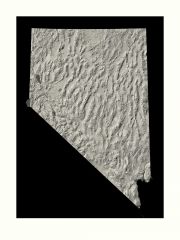 Nevada Archival Print
