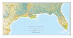 Land Cover of the Gulf Coast Fine Art Print Map