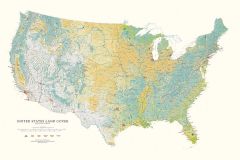 The United States  Land Cover Fine Art Print Map