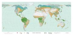 World Vegetation (Blue Ocean) Fine Art Print Map